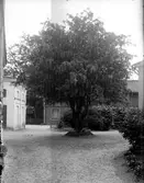 Kjellmodins gård Fotograf: E Sörman Fotokopia finns