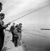 Några ungdomar i Huskvarna står vid Vätterstranden och väntar på att fisken ska nappa. Mannen till vänster med fiskespö är Gösta 