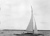 Segelbåt, sannolikt i Mälaren