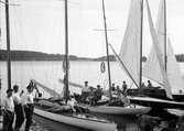Sällskap med segelbåtar som ankrat i sjövik, troligen Ekoln i Mälaren, 1936