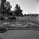 IKHP idrottsförening i Huskvarna firar 40 år och detta uppmärksammas med en plantering av blommor.