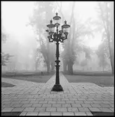 Vänersborg. Mandråparen.