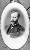 Riksdagsman C. W. Collander
