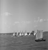 Kappsegling med Långedragsjullar