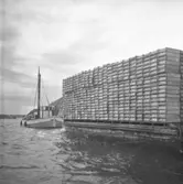 Fisklådor staplade på en pråm bogserad av en jakt