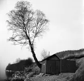 Claessons notadrätt vid Vätterstranden i Huskvarna. I Vättern fiskade man med att 