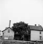 En fastighet på Rosenborgsgatan i Huskvarna. På gården står en volvo PV parkerad.