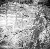 Enligt medföljande text: 