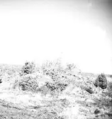 Enligt medföljande text: 