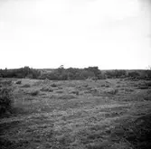 Enligt medföljande text: 