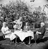 En vacker vårdag är kaffebordet dukat i trädgården på Odengatan 22 i Huskvarna. Från vänster: Valborg Daag, Zenta Daag som serverar kaffe, Nils Daag och en äldre dam.