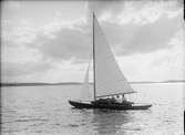 Fotografen Paul Sandbergs segelbåt Ninette, sannolikt på Ekoln, Uppland 1946