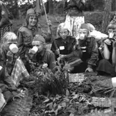 SMUs Scoutläger i Sjövik (Lerum) år 1956. Från vänster: Siv Olofsson, Marita Haag, Lena Lundgren, Karin Pettersson (född 1947, gift Hansson), Violet Olsson och Birgitta Eriksson. Samtliga flickor kommer från Kållered. Relaterat motiv: A2265 och A2398.