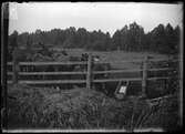 1908.

Fotograf Elisabeth Janzén, konstnär.