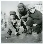 Västerås.
Tre pojkar spelar kula, 1947.