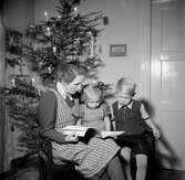 Bredvid en julgran klädd med elektriska ljus och flaggor sitter en kvinna och tittar en bok tillsammans med en flicka och en pojke.