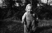 Karin Pettersson (född 1947, gift Hansson) står på gräsmattan utanför familjens bostad, Torrekulla 1:55 Gamlehagsvägen 17, år 1948. Hon var dotter till Bror och Rosa (född Krantz) Pettersson. Karin arbetade några år senare i Mölndals museums butik.
