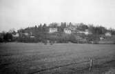 Vy från Alvered mot Torrekulla, cirka 1950. Villorna i fonden ligger på Gamlehagsvägen. I förgrunden ses odlingsmarker.
