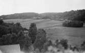 Vy från Gamlehagsvägen i Torrekulla mot Alveredsdalen, cirka 1950. I mitten ses betande kor på ängarna. Senare byggdes en golfbana på markerna.