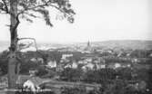 Vykort med motiv över Jönköping och Vättern, tagen från Stadsparken. Bäckalyckan var ett av de områden som togs i bruk av den växande staden vid 1900-talets början. Här byggdes villor på mark som avstyckats från Bäckalycke gård, vars allé (nuvarande Bäckalyckevägen) syns i förgrunden.