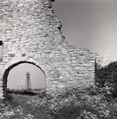 Ruinerna efter S:ta Britas kapell med heidenstamfyren från 1872 i bakgrunden.