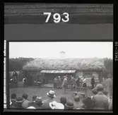 Teater på Vallby friluftsmuseum i Västerås.