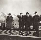 Fyra män står tillsammans vid Stretereds växthus, 1940-tal. Längst till höger ses skomakare Carl Krantz (1880 - 1956) som arbetade som lärare vid Stretereds vårdhem.