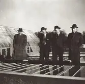 Fyra män står tillsammans vid Stretereds växthus, 1940-tal. Längst till höger ses skomakare Carl Krantz (1880 - 1956) som arbetade som lärare vid Stretereds vårdhem.