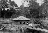 Ankdammen i Jönköpings Stadspark. På den lilla ön finns ett hus för fåglarna.