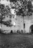 Visingsborgs slottsruin på Visingsö.