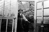 Alex Carlsson vid ingången till ett växthus i sin handelsträdgård i kv. Fregatten. Trädgården startade 1916-17 och drevs fram till 1940-talets början. Alex Carlsson hade tidigare, 1910-16 en speceriaffär på Stampen.