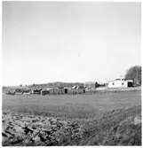 Vägstation R9, Lidköping. Vy mot vägstationen med garagebyggnaden närmast, förrådsbyggnad. Uppställda sidoplogar, spetsplogar, sandspridare.