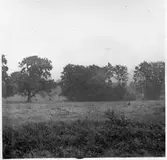 Vägstation R13, Skövde. Vy över ängsmark.