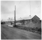 Vägstation T2, Askersund. Garage- och kontorsbyggnad till höger, i bakgrunden förrådsbyggnad. På garageplan väghyvel, bensinpumpar (drivmedelspumpar), personbil. Flaggstång. Invid väg.