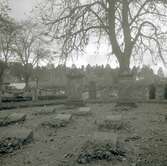 Nordströmska graven på Södra Vi kyrkogård i bildens mitt.