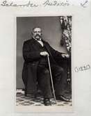Jonas Anders August Sahlander (1811-1882)