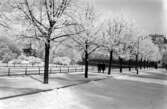 Utsikt över Stadsparken i Västerås.