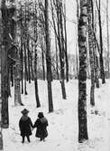 Lerums socken. Aspenäs herrgård, Edward Jr och Elsa Jacob