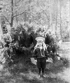 Lerums socken. Aspenäs herrgård, Edward Jr Jacob