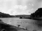 Ramnasjön mot väster år 1926.