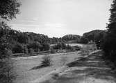 Ramnasjön vid fågelkolonien fr. väster år 1929.