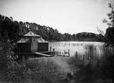 Ramnasjön vid fågelkolonien fr. väster år 1929.