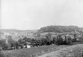 Vy från Stadsparken mot söder med Trikåfabriken och Marieholms badhus år 1880.