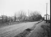 Varbergsvägen mot n.v. med Petersberg i mellanplanet år 1915.