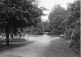 Stadsparken i Borås år 1922.