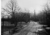 Tekniska skolans park år 1932.