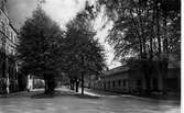 Allégatan från Åsbogatan med kvarteret Romulus t.h. år 1928.