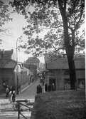 Lilla Kyrkogatan mot söder med Anton Johanssons speceributik år 1924.