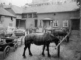 Gårdsinteriör från Stora Brogatan 11 (Tidbladska gården) i kvarteret Mars från öster den 12/5 år 1916.