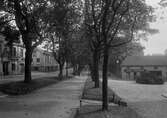 Allégatan söderut vid Södra Kyrkogatan år 1931.